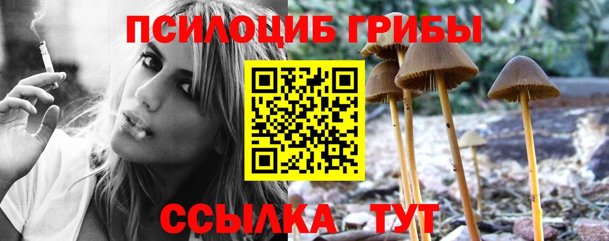Галлюциногенные грибы Magic Shrooms  Вход с VPN  Лесной 