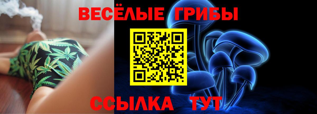 Галлюциногенные грибы Magic Shrooms Лесной